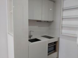 Skysuites@Anson (D2), Apartment #461723291